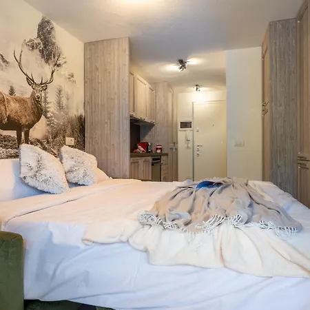 Apartmán Cretaz Nest - Near Lifts *